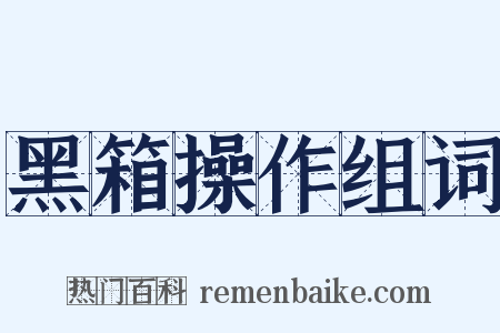 黑箱操作组词是什么意思的图片
